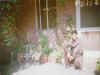 Me In Lahore, In Feb'99.